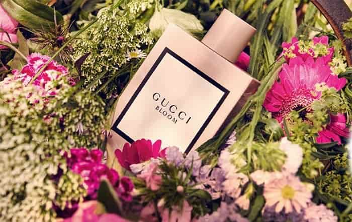 Lịch sử chai nước hoa Gucci Bloom EDP Nữ